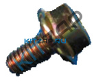 ���� ������ ���������